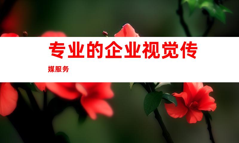 专业的企业视觉传媒服务