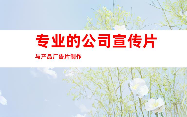 专业的公司宣传片与产品广告片制作