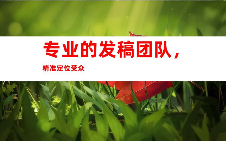 专业的发稿团队，精准定位受众