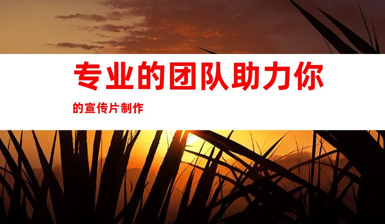 专业的团队助力你的宣传片制作