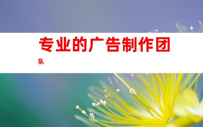 专业的广告制作团队