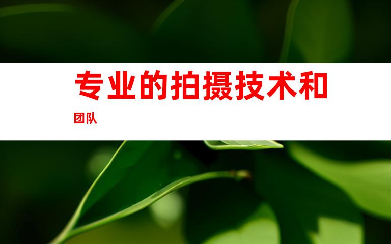 专业的拍摄技术和团队