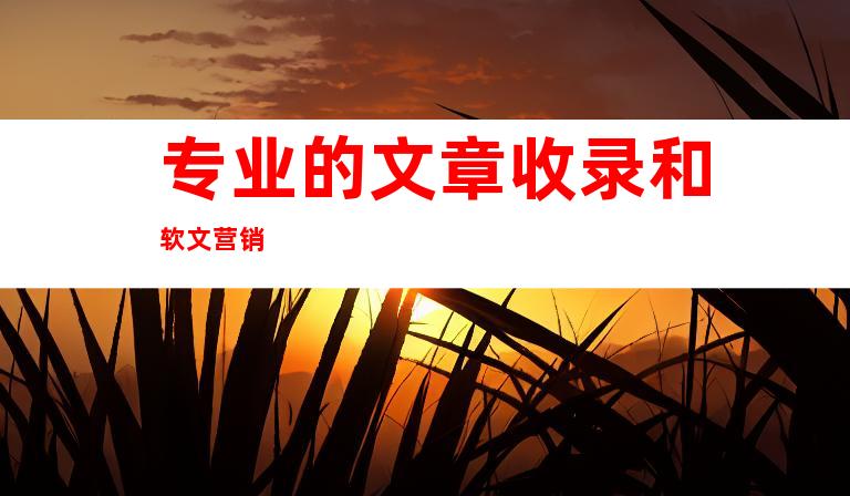 专业的文章收录和软文营销