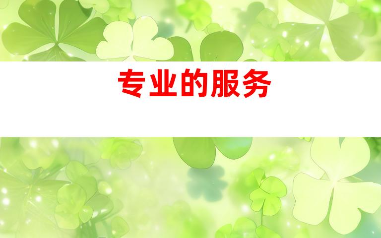 专业的服务
