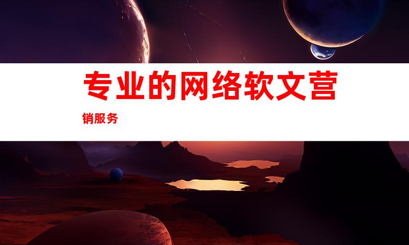 专业的网络软文营销服务
