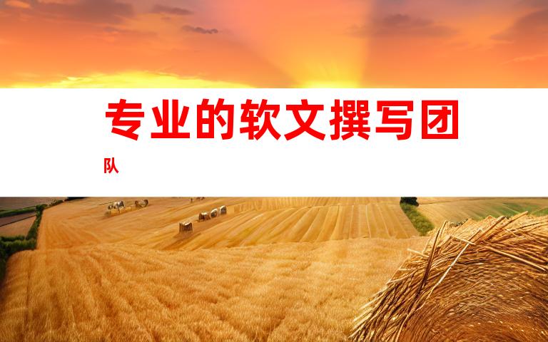 专业的软文撰写团队