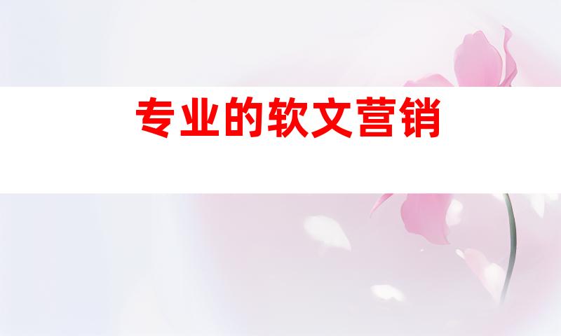 专业的软文营销