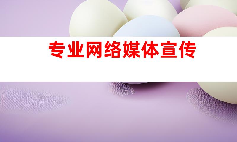 专业网络媒体宣传