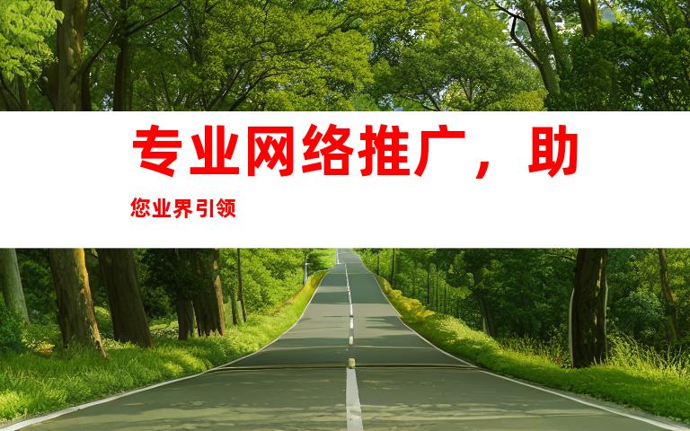 专业网络推广，助您业界引领