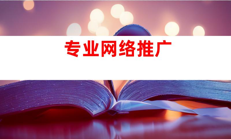 专业网络推广