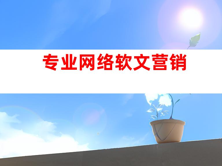 专业网络软文营销