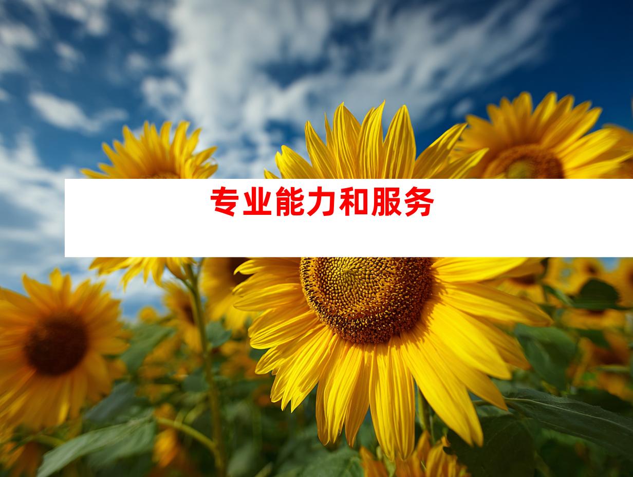 专业能力和服务
