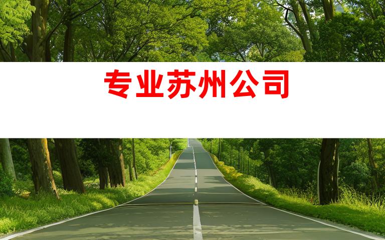 专业苏州公司