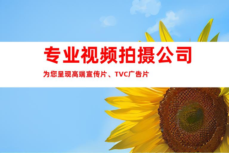 专业视频拍摄公司为您呈现高端宣传片、TVC广告片