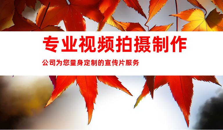 专业视频拍摄制作公司为您量身定制的宣传片服务
