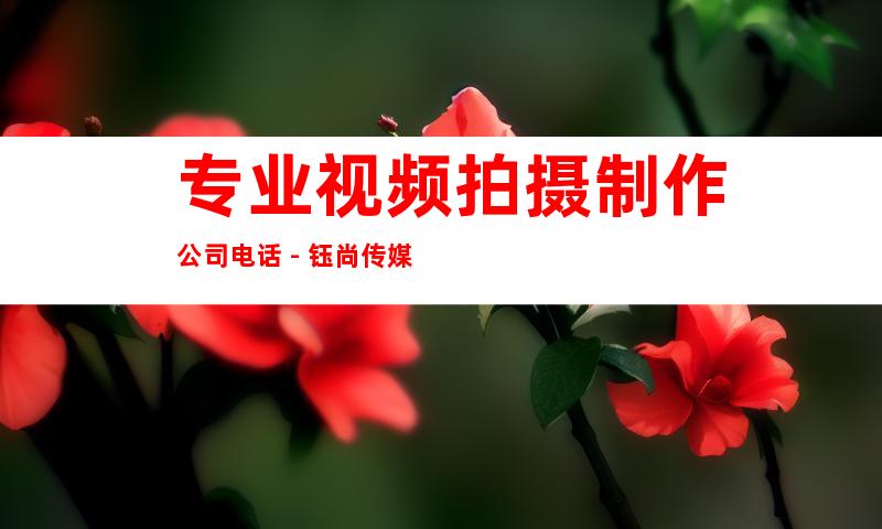 专业视频拍摄制作公司电话 - 钰尚传媒