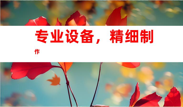 专业设备,精细制作