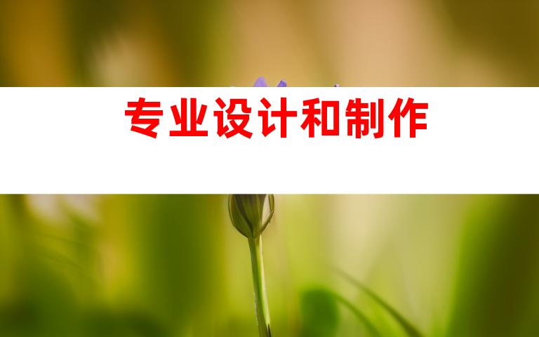 专业设计和制作