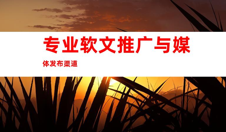 专业软文推广与媒体发布渠道
