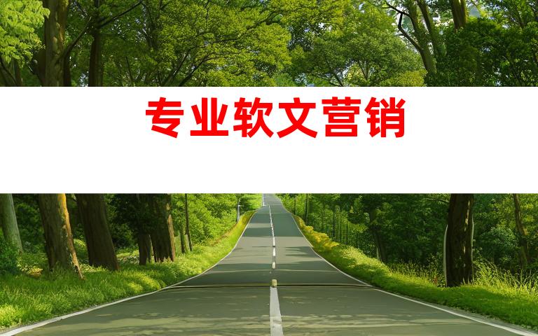 专业软文营销