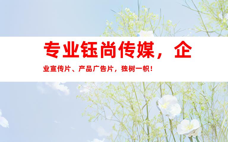 专业钰尚传媒，企业宣传片、产品广告片，独树一帜！
