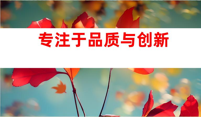专注于品质与创新