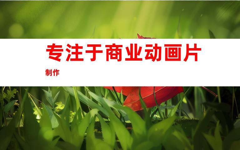 专注于商业动画片制作