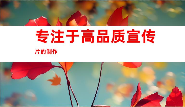 专注于高品质宣传片的制作