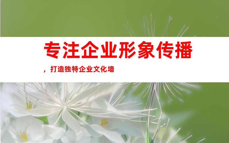 专注企业形象传播，打造独特企业文化墙