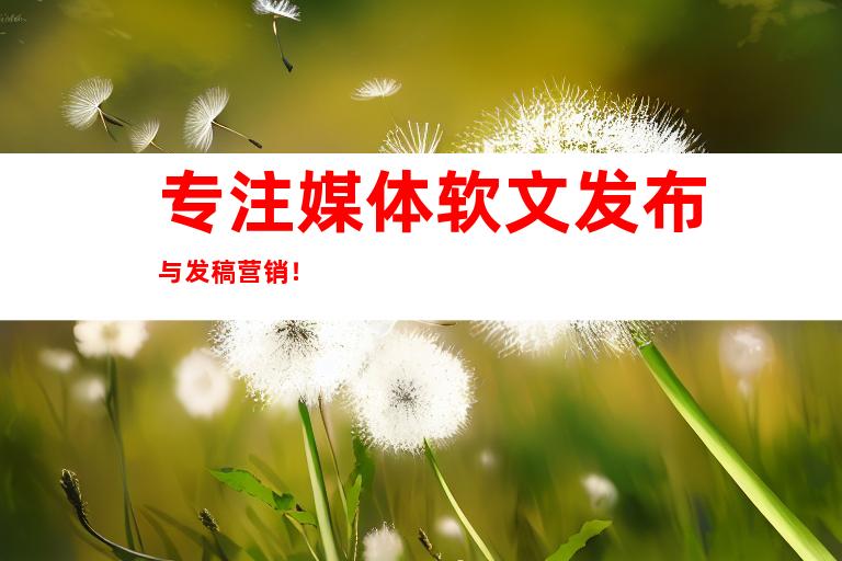 专注媒体软文发布与发稿营销！
