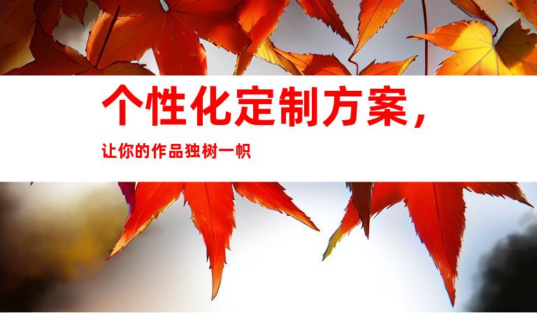 个性化定制方案，让你的作品独树一帜
