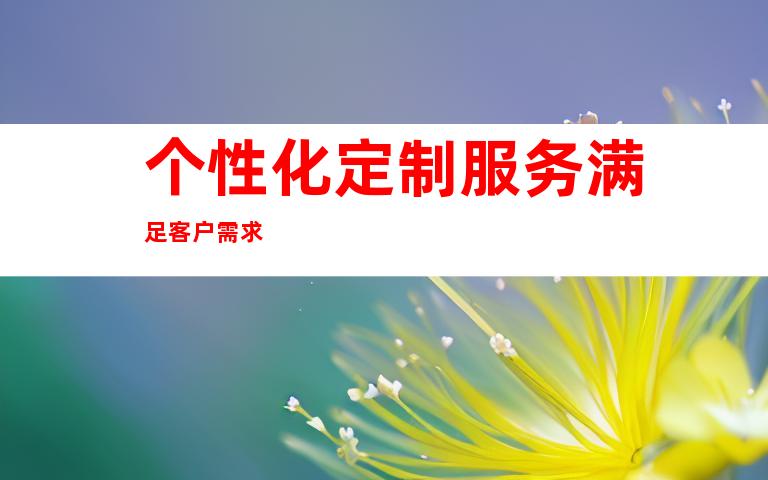个性化定制服务满足客户需求