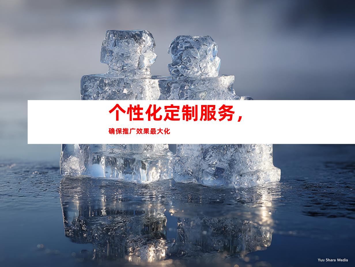 个性化定制服务，确保推广效果最大化