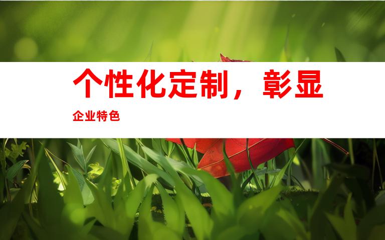 个性化定制，彰显企业特色