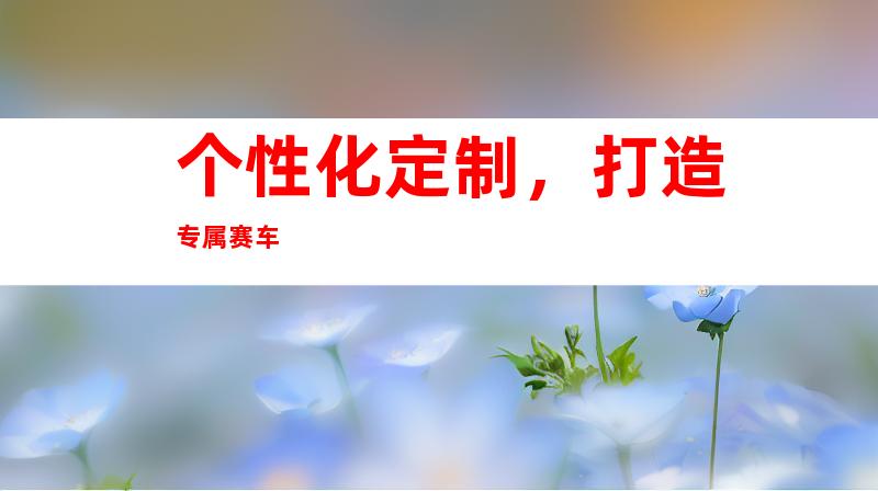 个性化定制，打造专属赛车