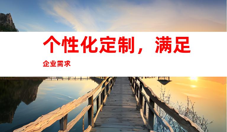 个性化定制，满足企业需求