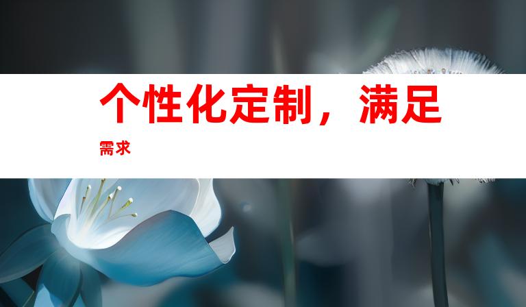 个性化定制，满足需求