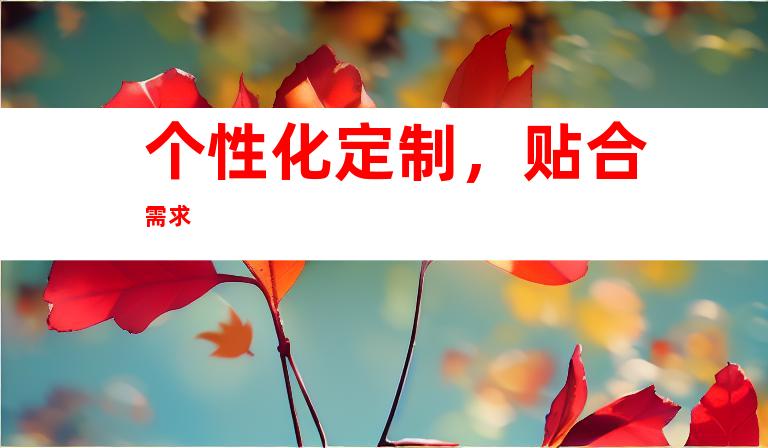 个性化定制，贴合需求