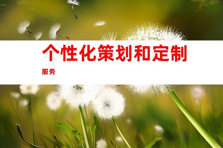 个性化策划和定制服务