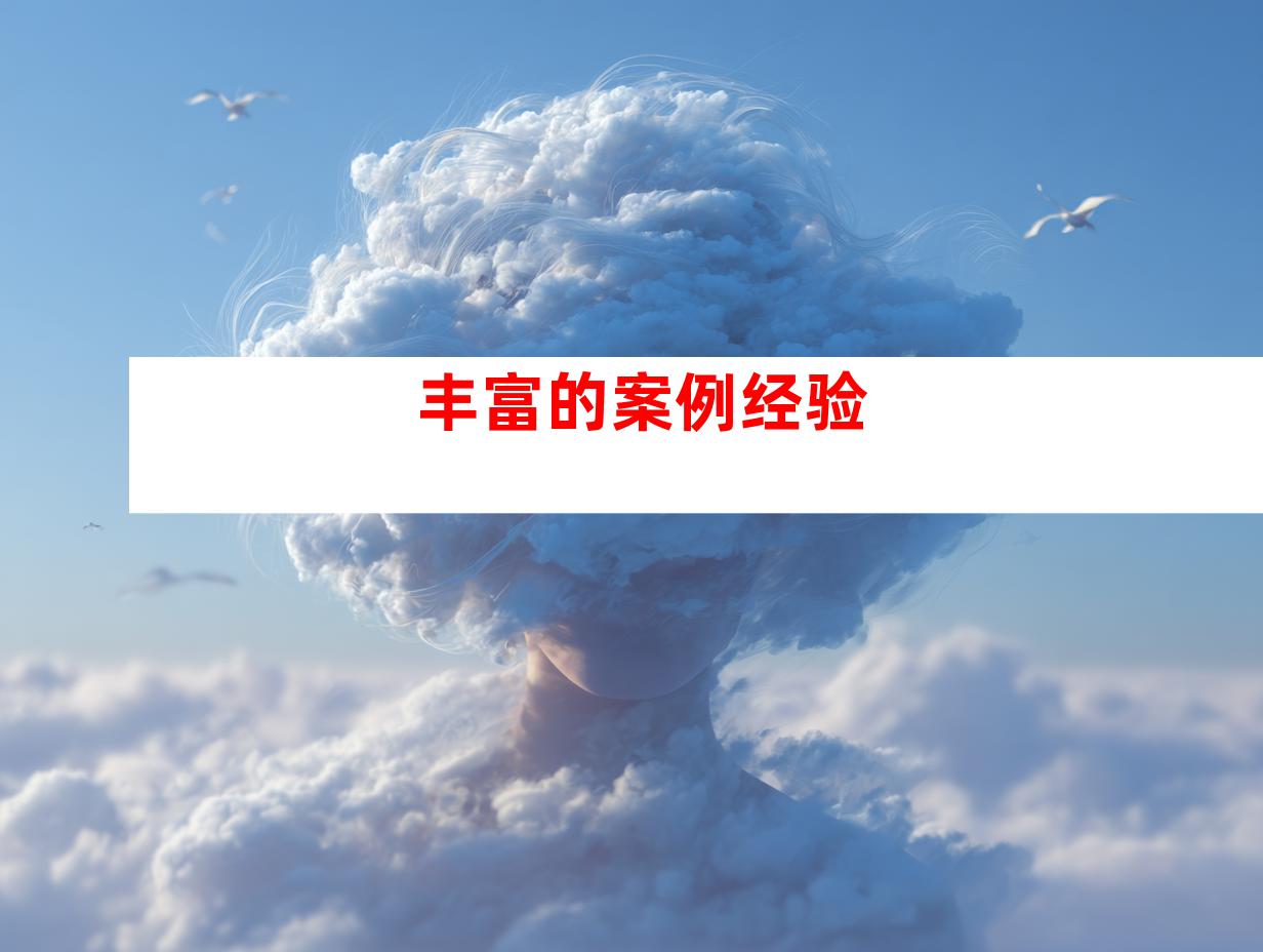 丰富的案例经验