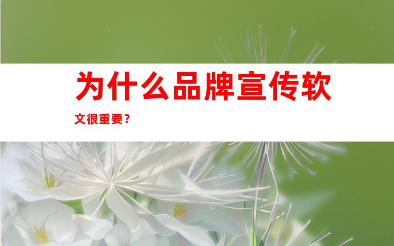 为什么品牌宣传软文很重要？