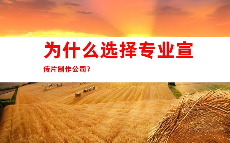 为什么选择专业宣传片制作公司？