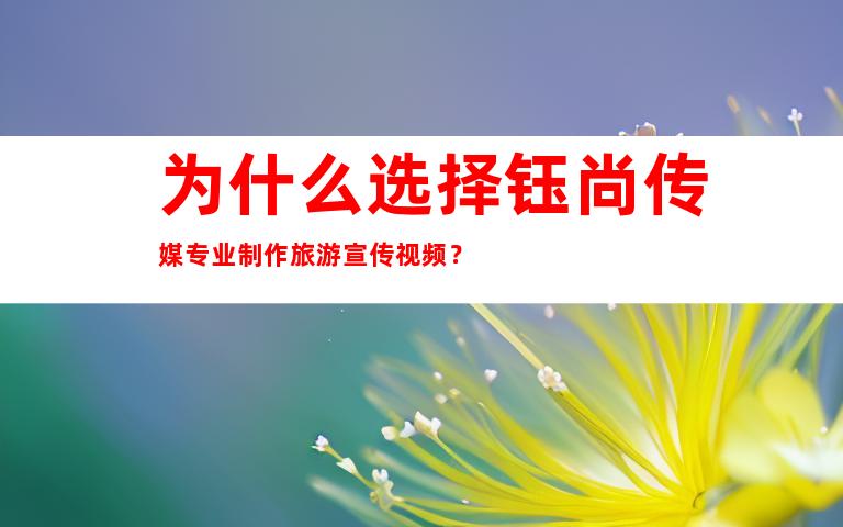为什么选择钰尚传媒专业制作旅游宣传视频？