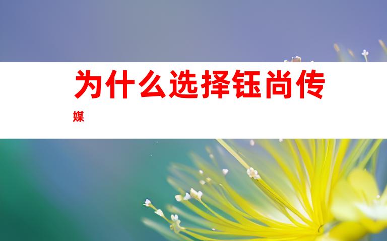 为什么选择钰尚传媒