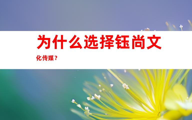 为什么选择钰尚文化传媒？