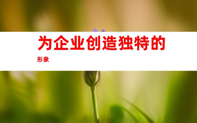 为企业创造独特的形象