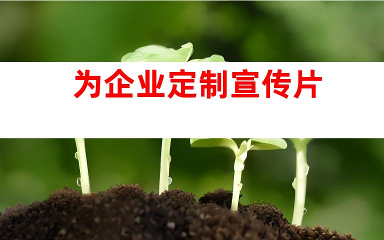 为企业定制宣传片