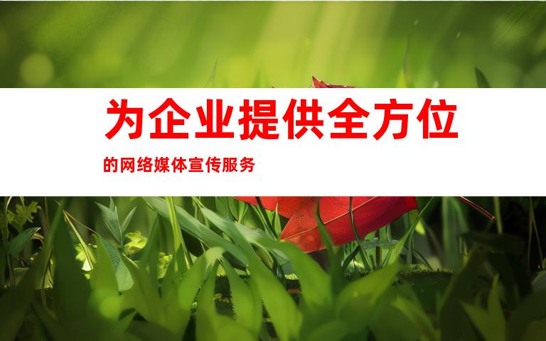 为企业提供全方位的网络媒体宣传服务