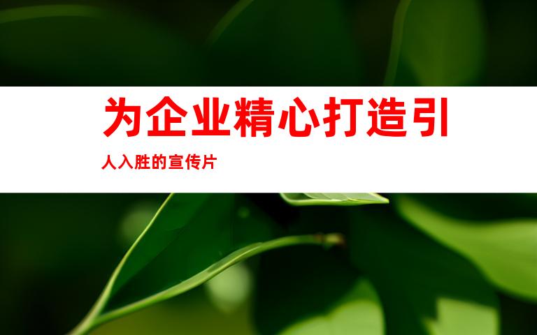 为企业精心打造引人入胜的宣传片