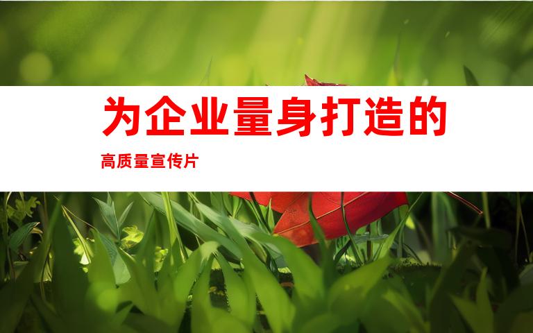 为企业量身打造的高质量宣传片